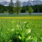 Am Geroldsee