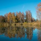 Am Gerzensee | Schweiz