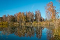 Am Gerzensee | Schweiz