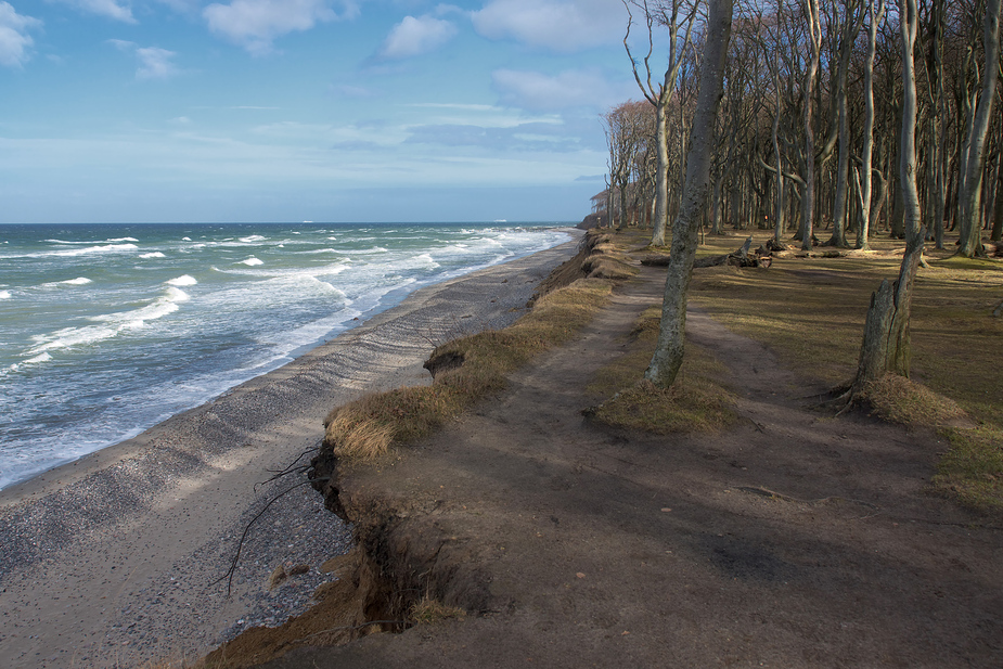 Am Gespensterwald