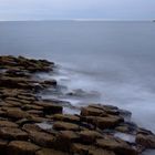 am Giant's Causeway (02)