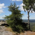 Am Gipfel des Großen Zschirnstein