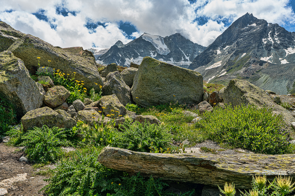 am Glacier de Moiry - Wallis - Schweiz