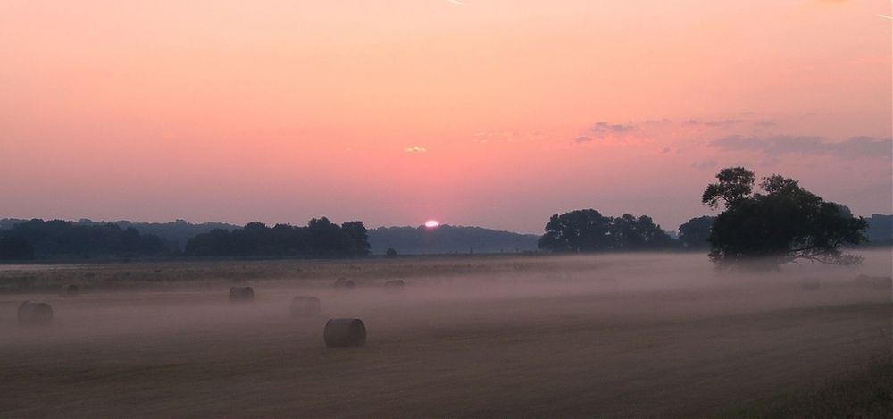 am gleichen Morgen...