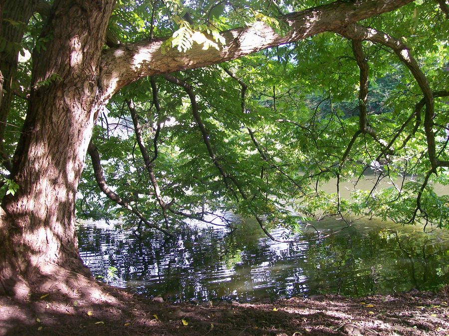 am gleichen tag