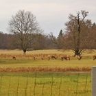 am gleichen Tag eine weitere Stelle