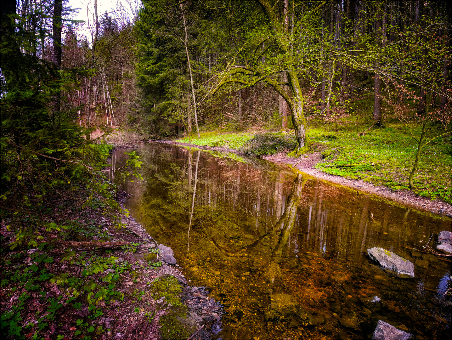 Am Gleißenbach ....