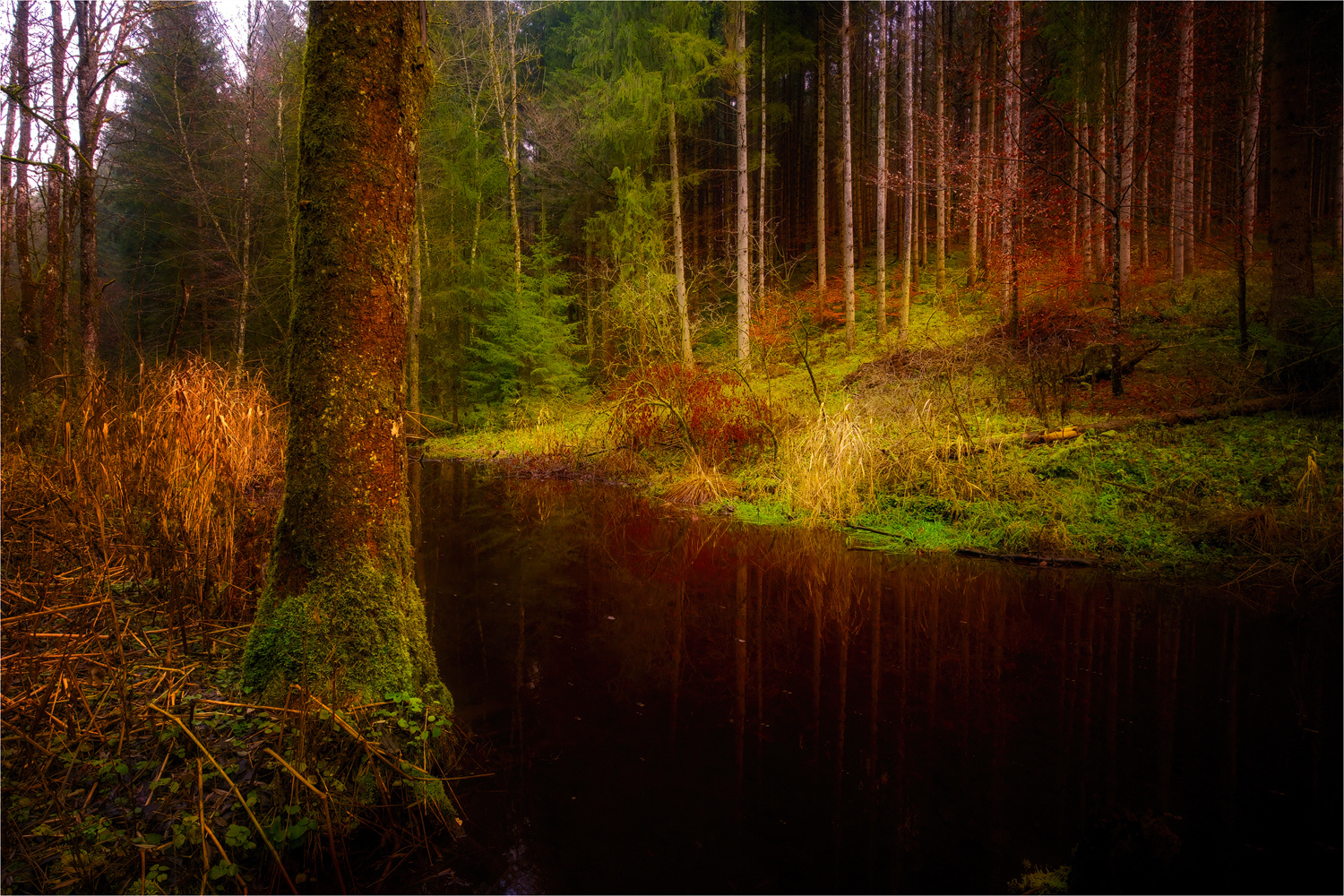 Am Gleißenbach ...