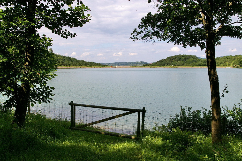 Am Glemser Stausee (4)