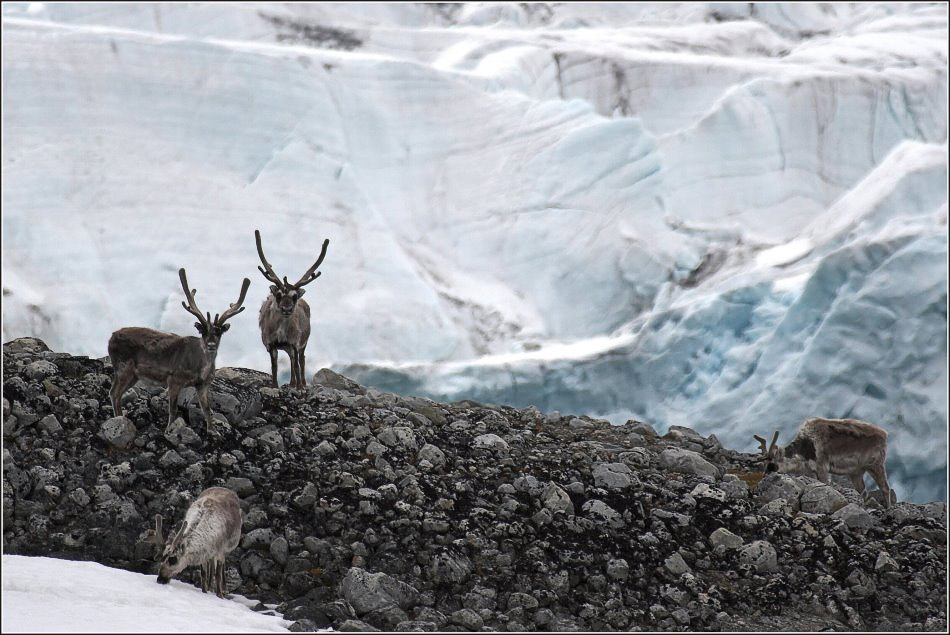 Am Gletscher...