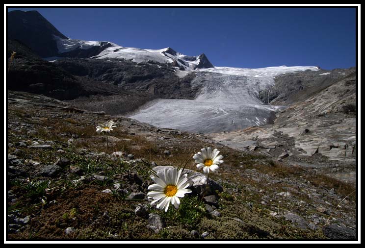 Am Gletscher