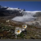 Am Gletscher