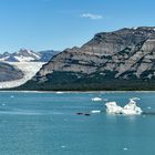 Am Gletscher.                                                 DSC_5713