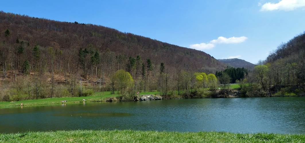 Am Gönninger See