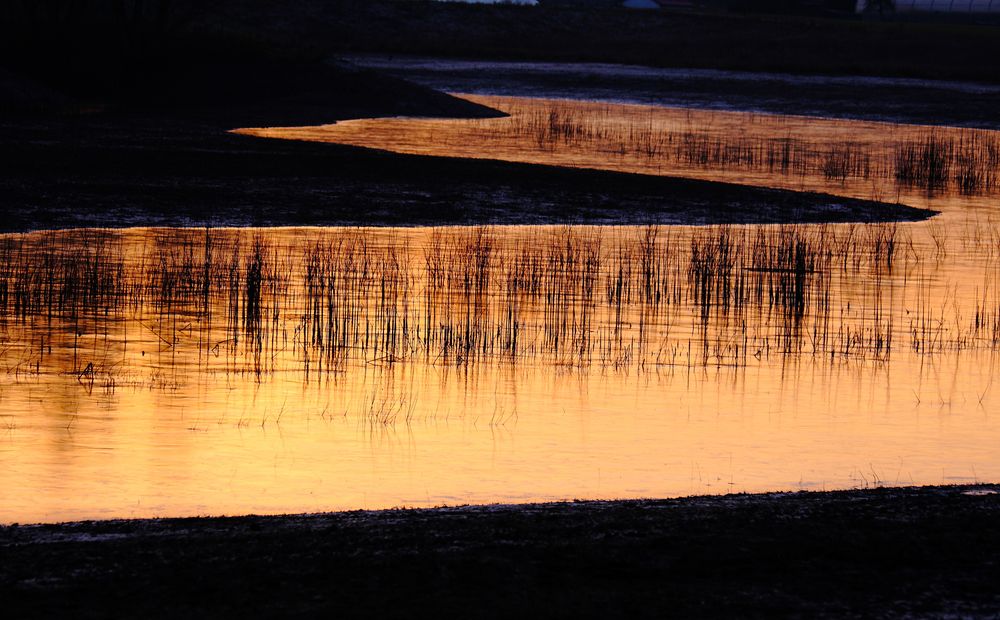 Am Goldbergsee