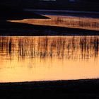 Am Goldbergsee