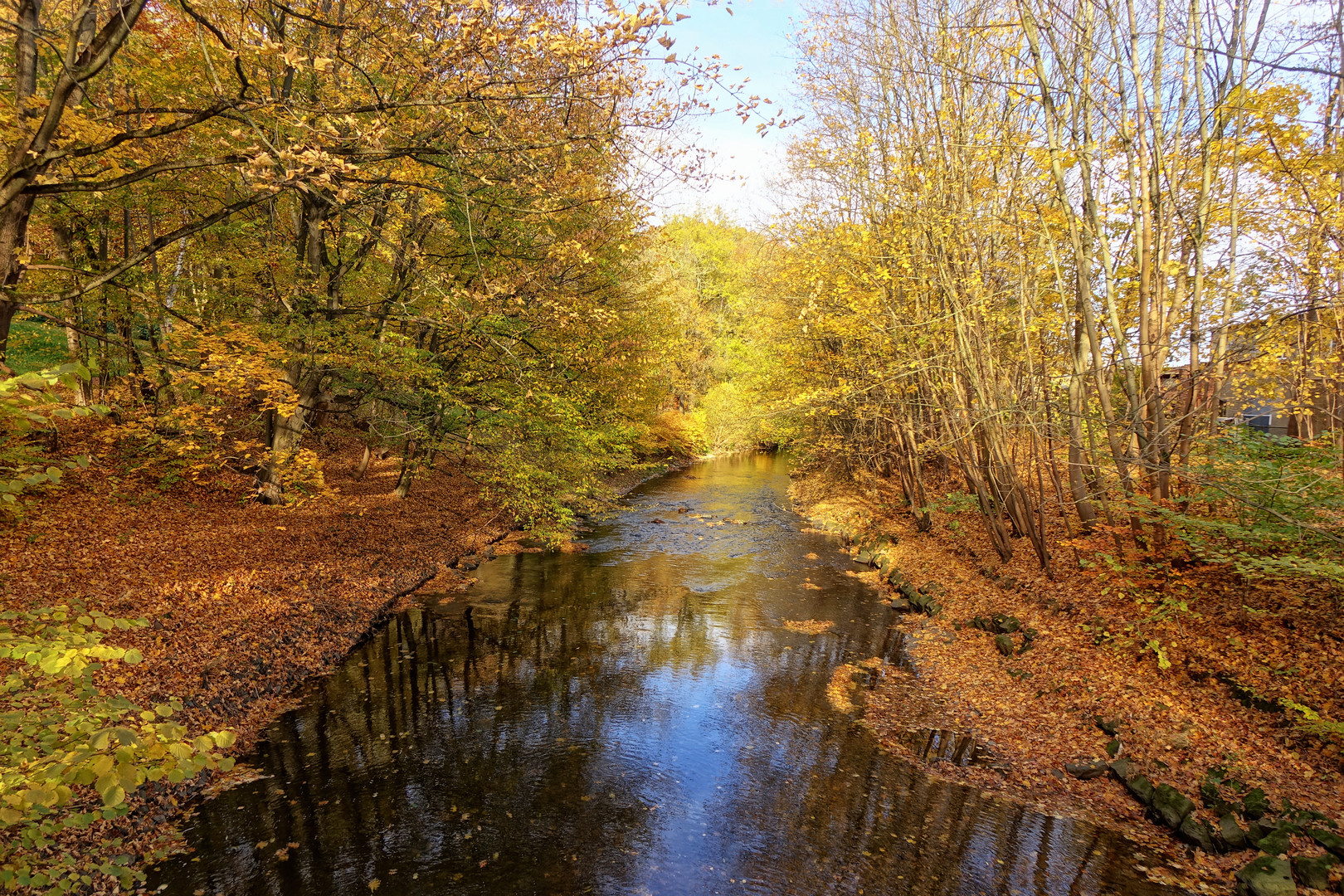 am goldenen Fluss ....