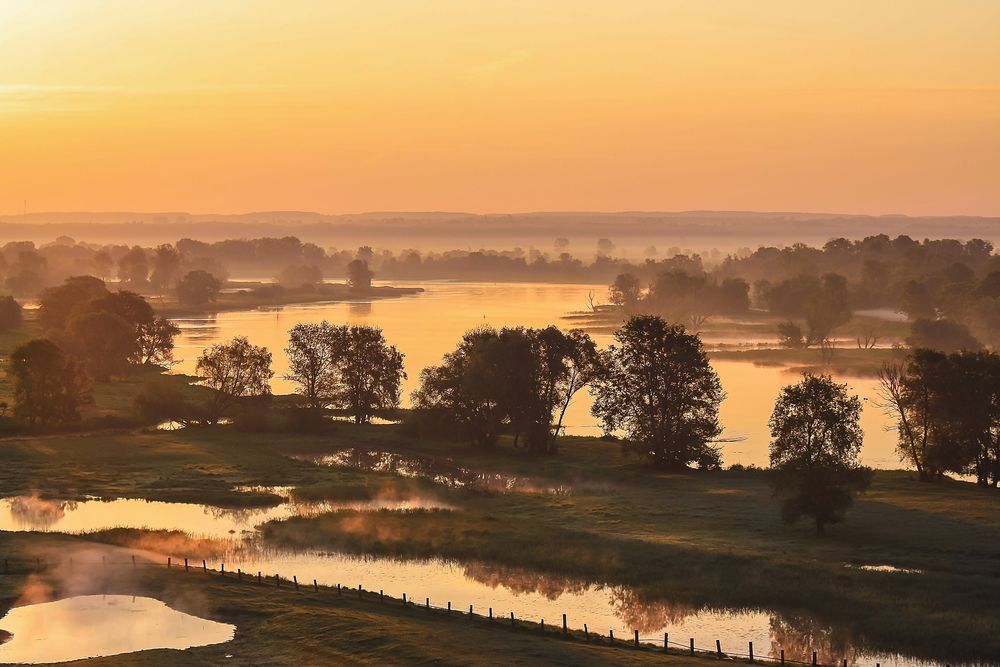 Am goldenen Fluss