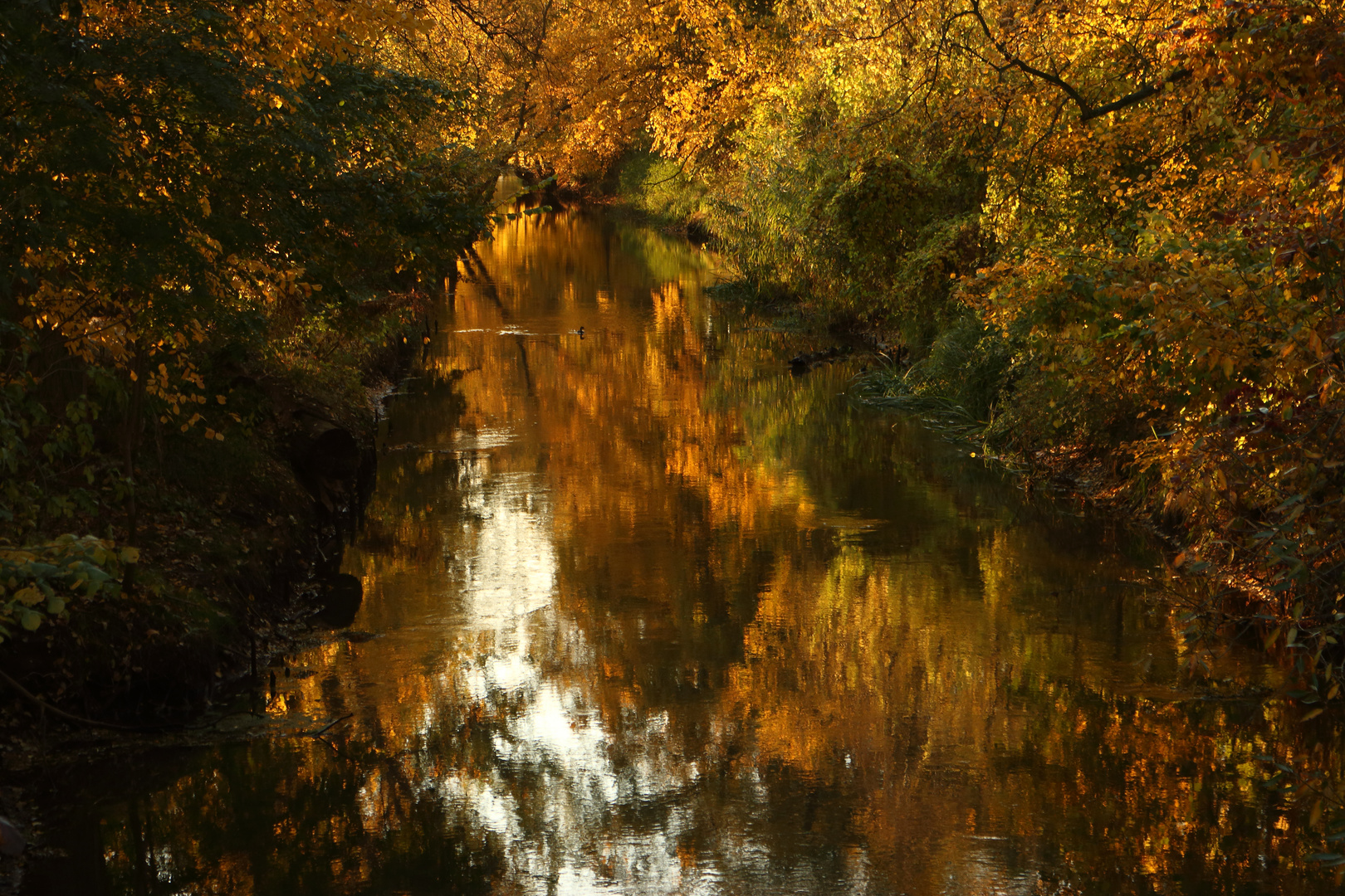 Am goldenen Fluss