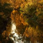 Am goldenen Fluss