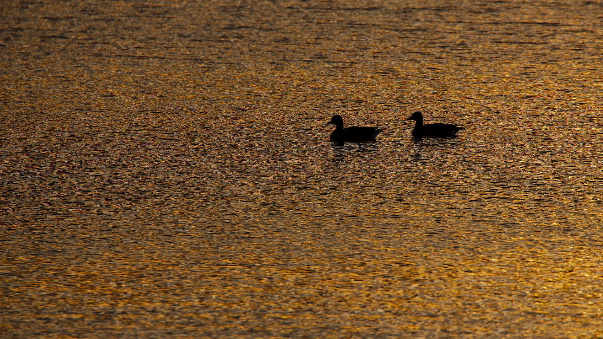 Am goldenen See 