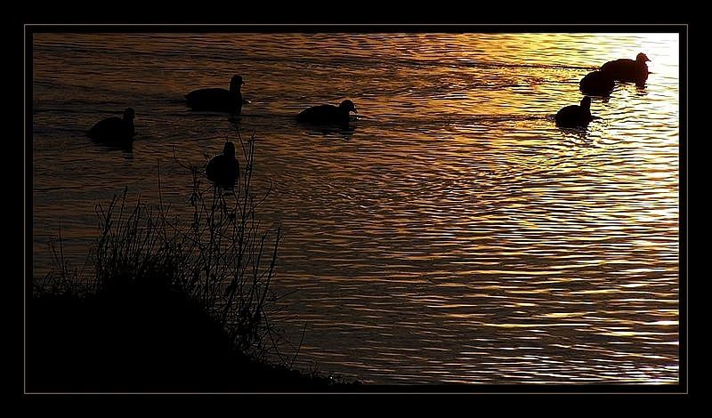 Am goldenen See