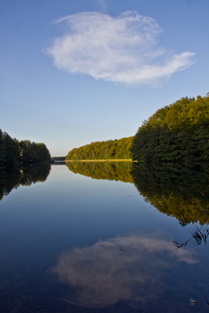 Am Goldenen See!