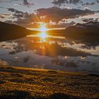 Am goldenen Strand 