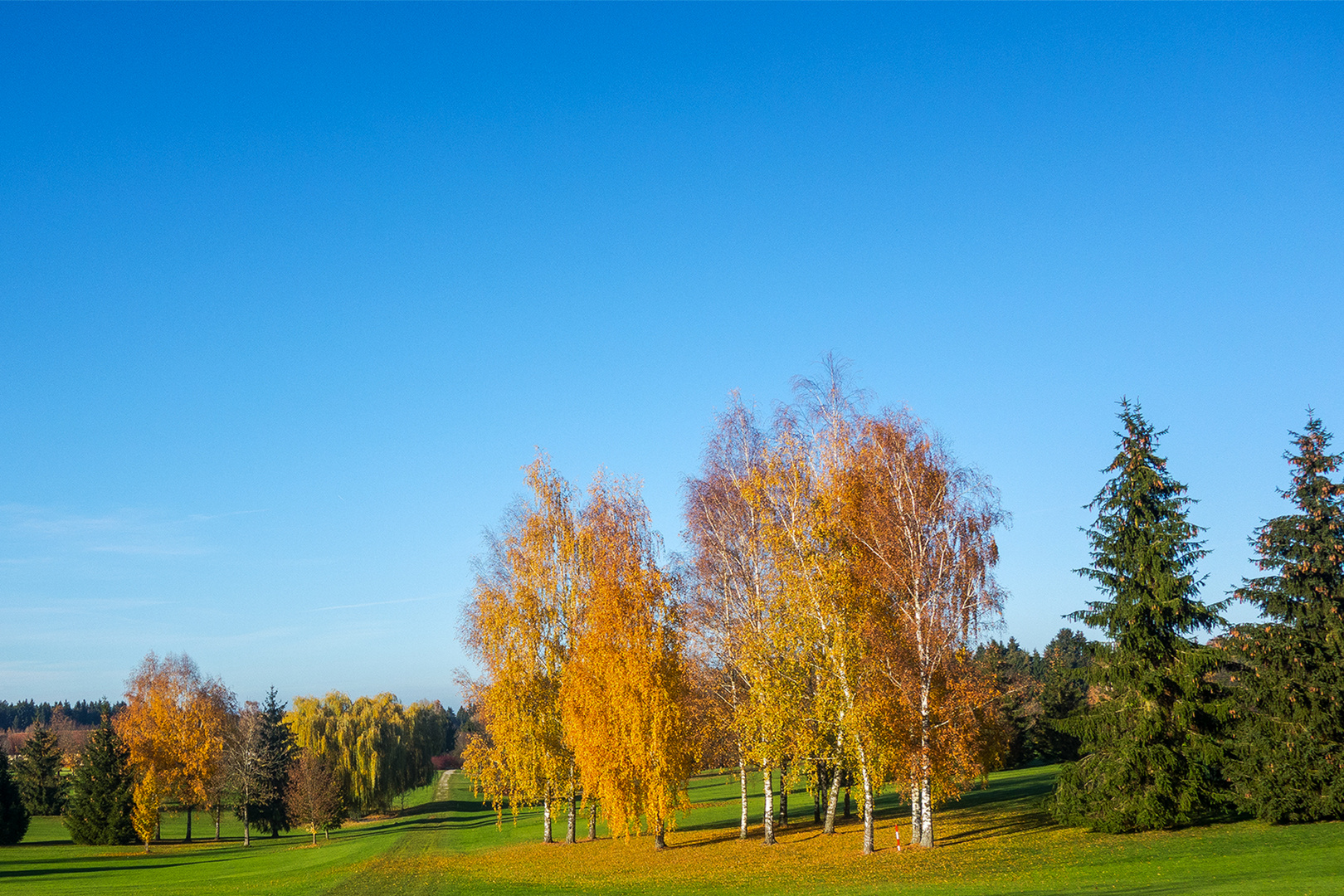 am Golfplatz