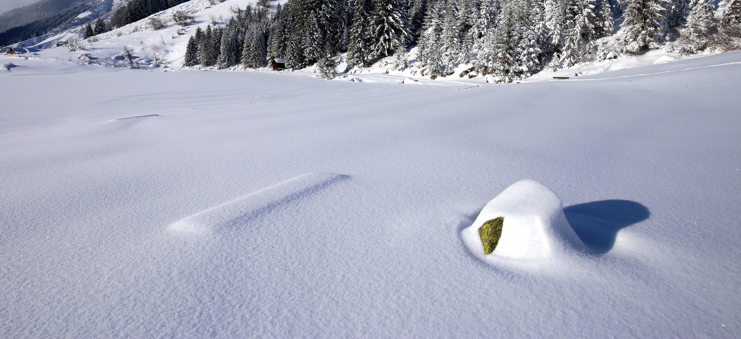 am Golzernsee im Winter