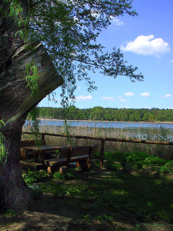 Am Gorinsee bei Berlin