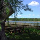 Am Gorinsee bei Berlin