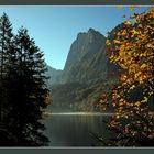 Am Gosausee - Durchblick zur Kopfwand