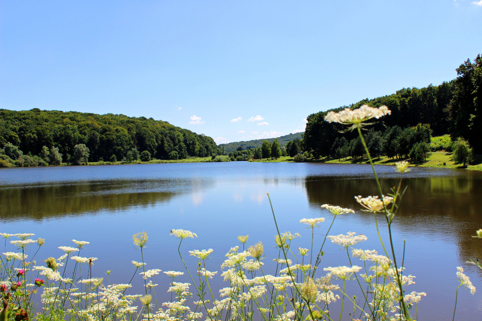 Am Gosztolasee II ...