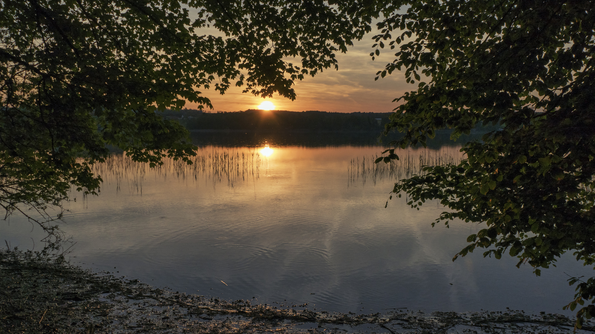 Am Grabensee III