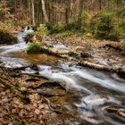 Am Gräfenbach | Soonwald