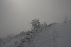 Am Grand Ballon (Vogesen)