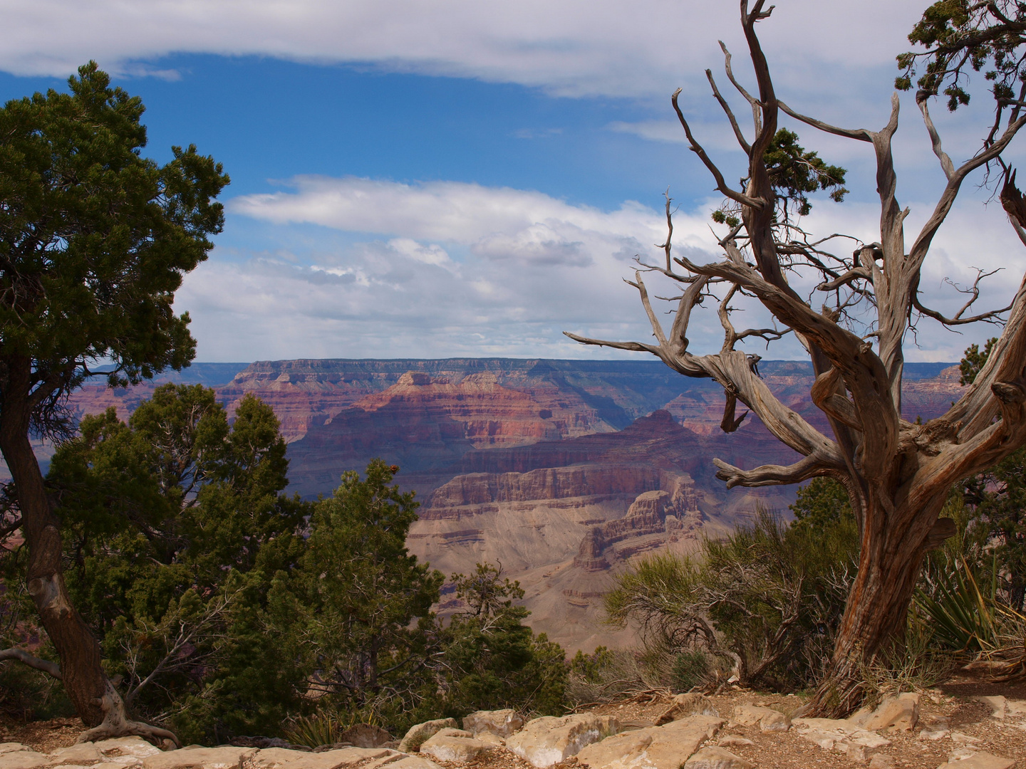 Am Grand Canyon