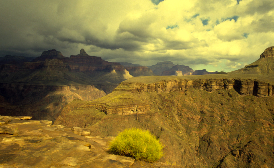 am Grand Canyon