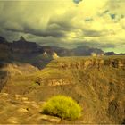 am Grand Canyon