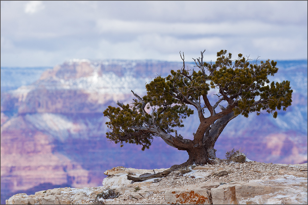 Am Grand Canyon