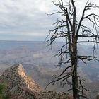 Am Grand Canyon