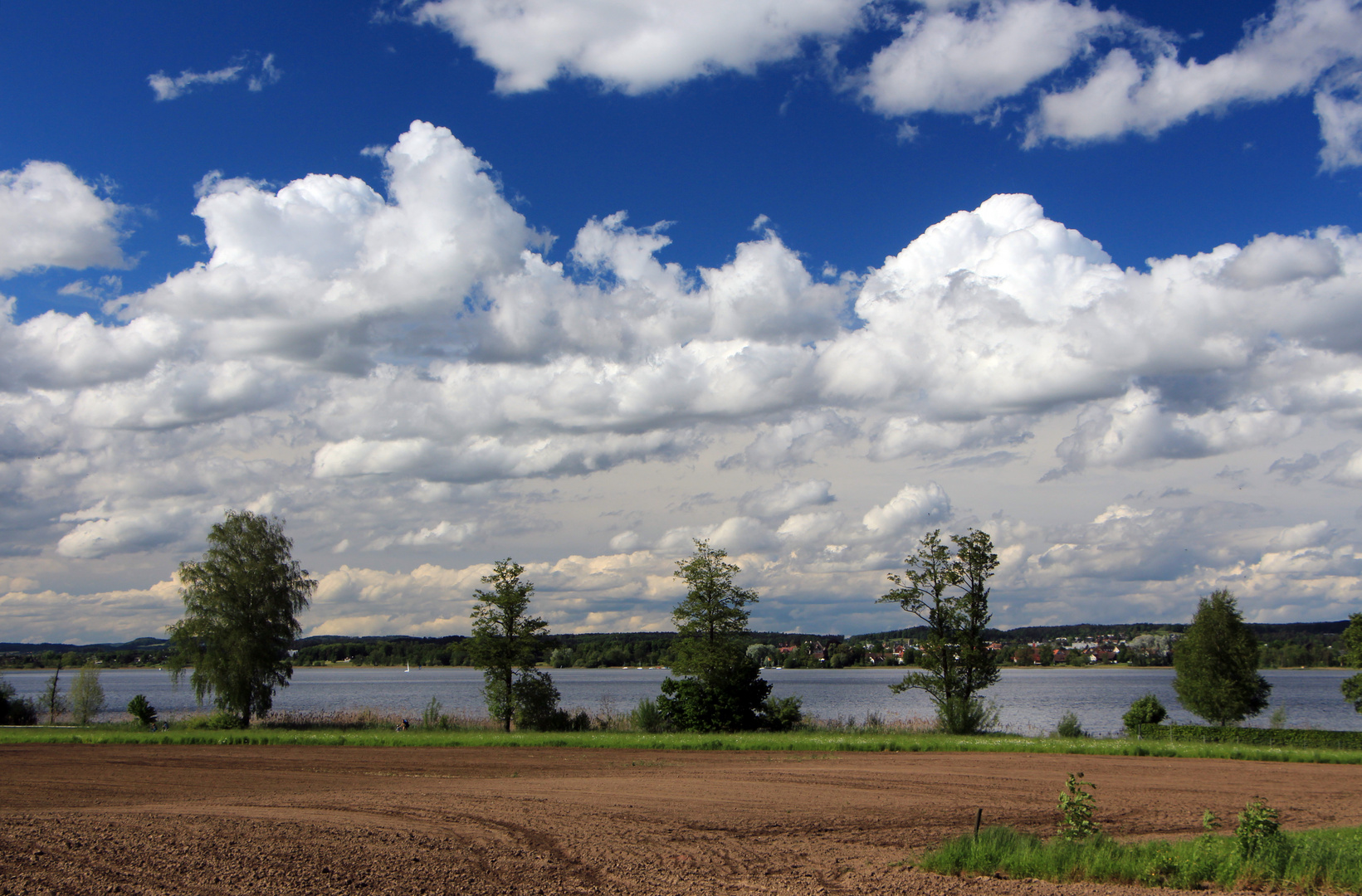 am Greifensee