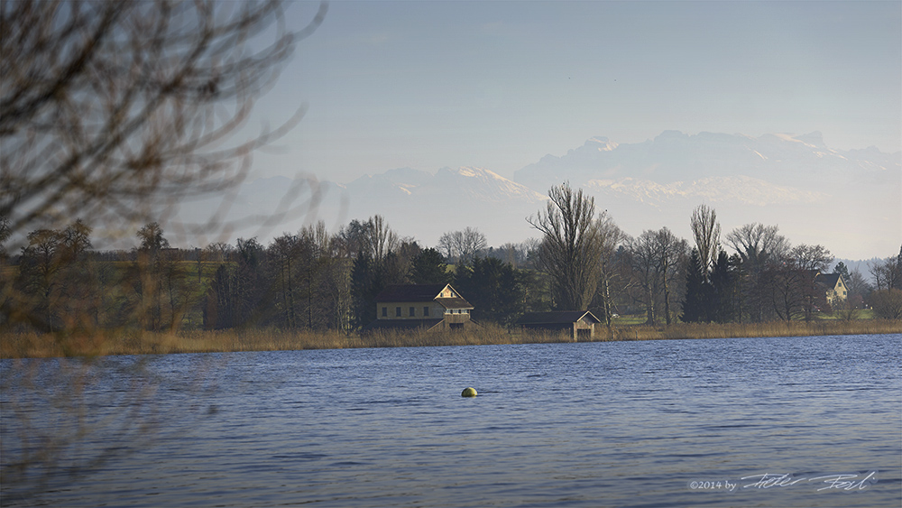 Am Greifensee