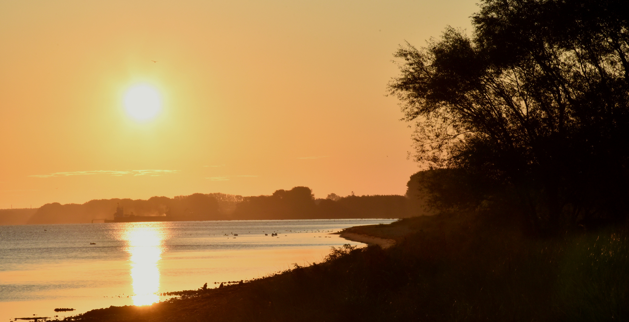 Am Greifswalder Bodden