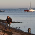 Am Greifswalder Bodden