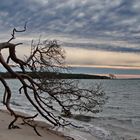 Am Greifswalder Bodden