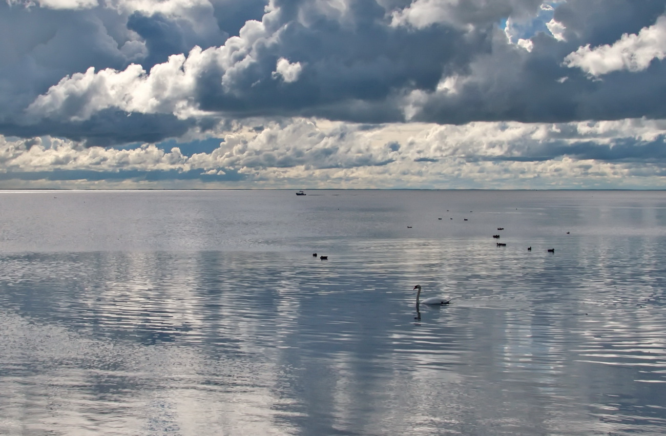 Am Greifswalder Bodden