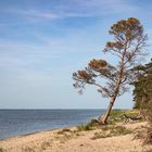 am Greifswalder Bodden 