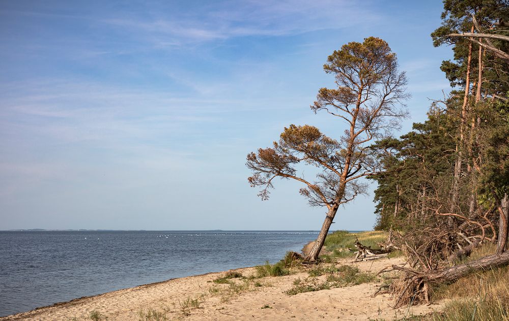 am Greifswalder Bodden 